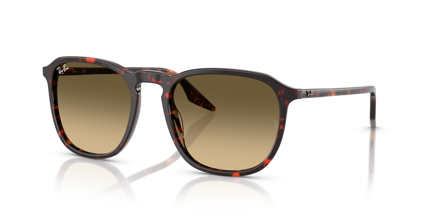 RAY-BAN RB2203 14290A 52