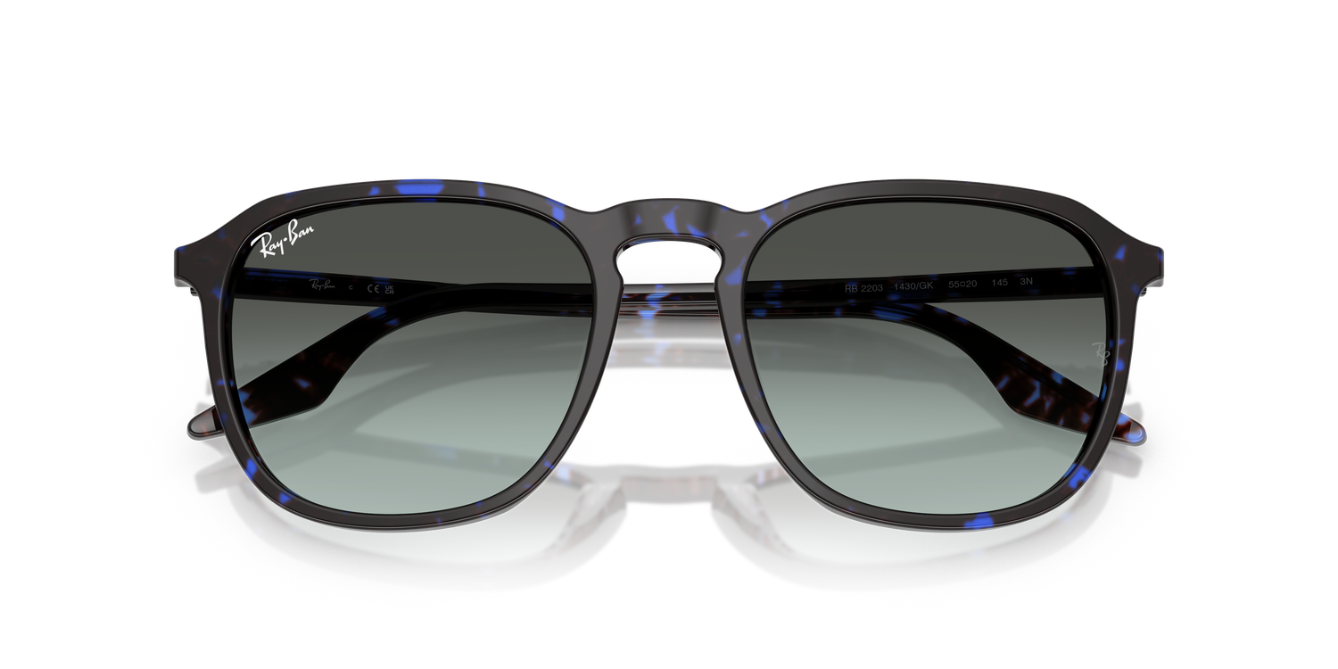 RAY-BAN RB2203 1430GK 55