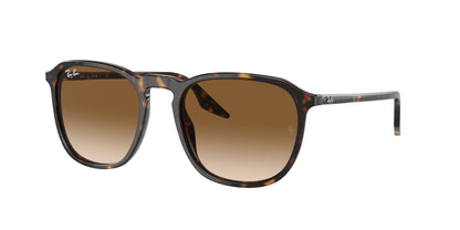 RAY-BAN RB2203 902/51 52 - 16
