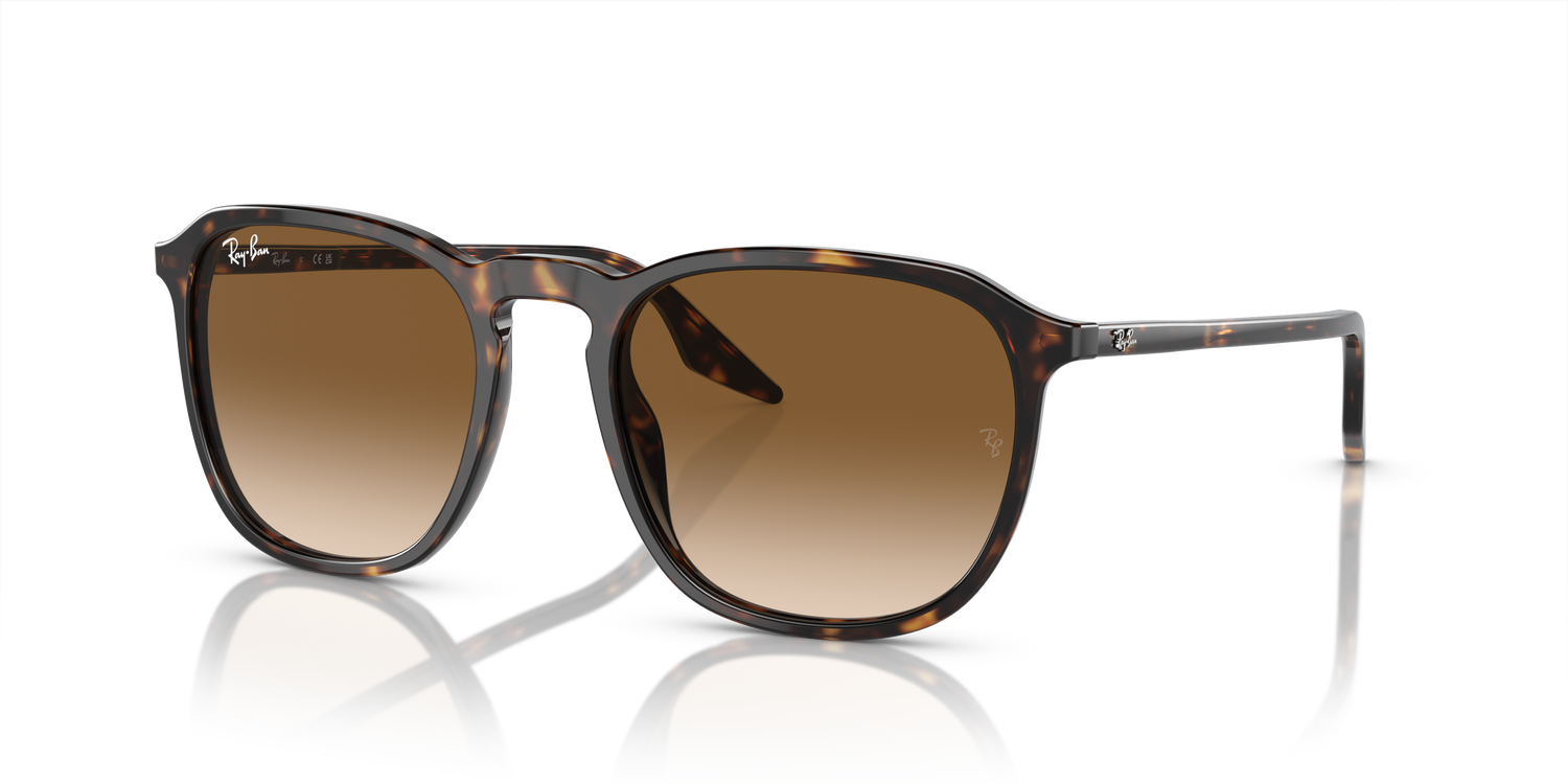 RAY-BAN RB2203 902/51 55