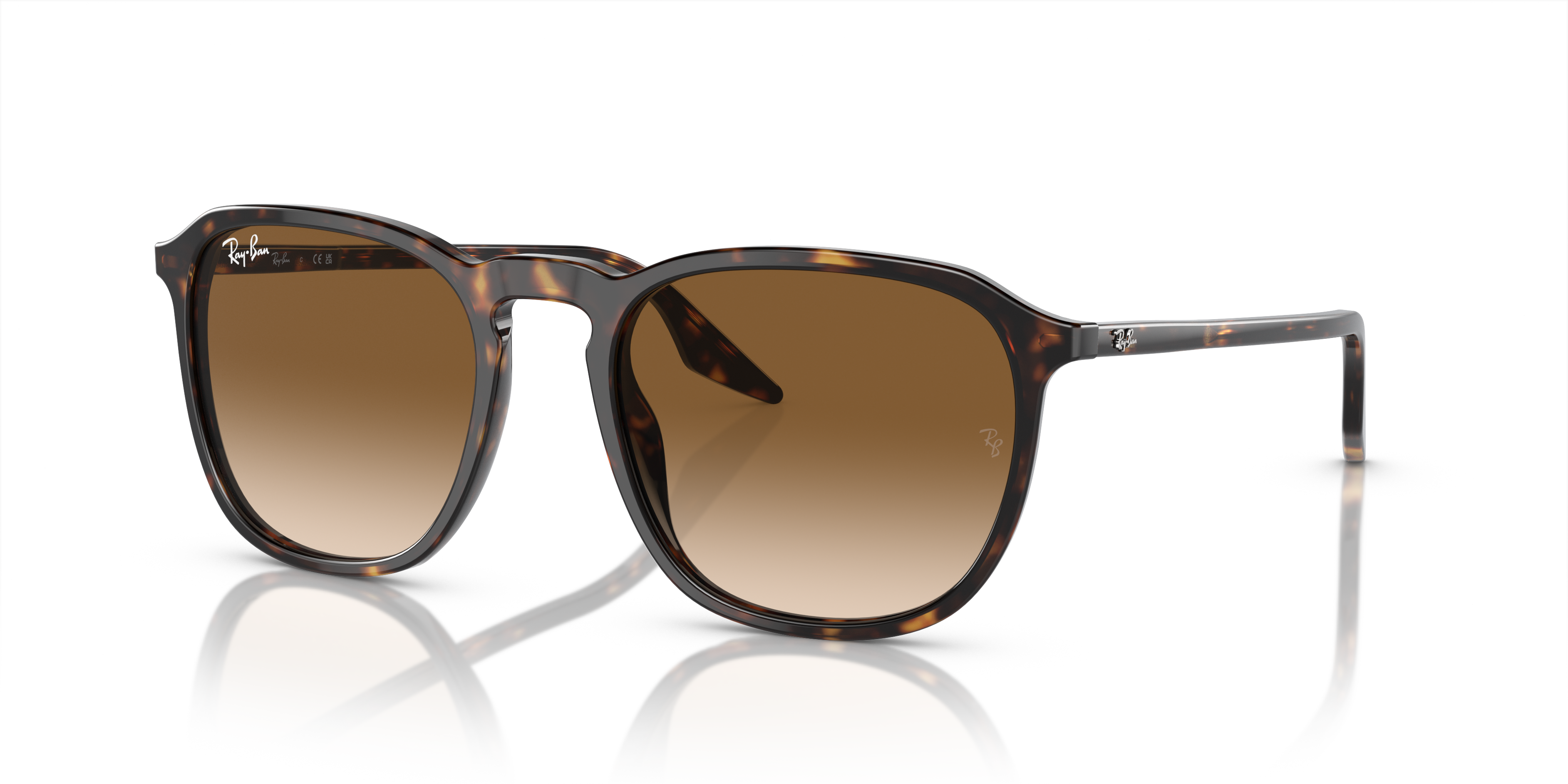 RAY-BAN RB2203 902/51 55