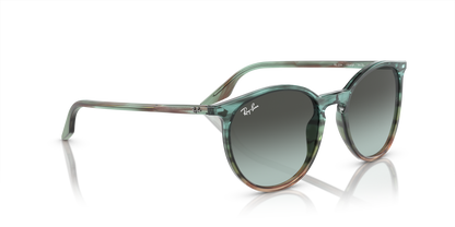 RAY-BAN RB2204 1394GK 51