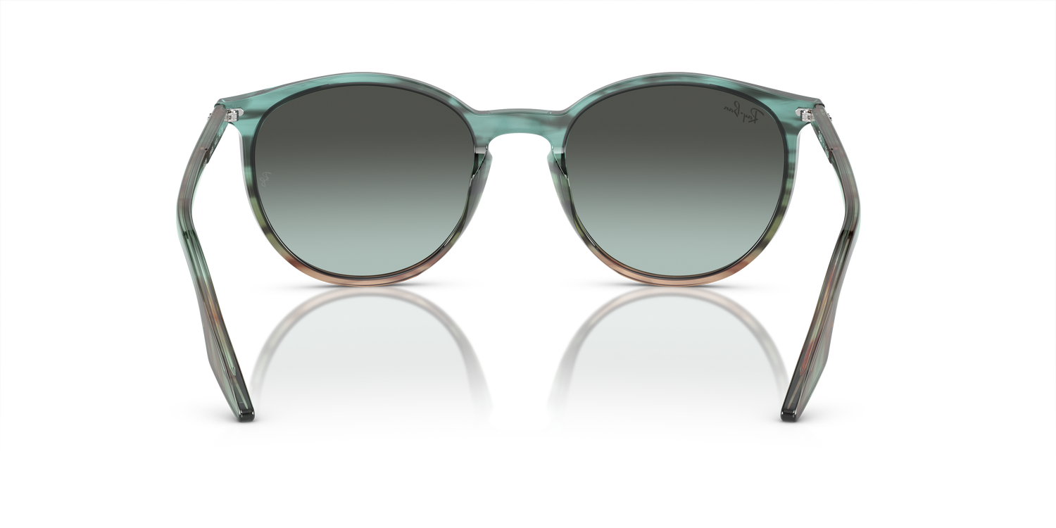 RAY-BAN RB2204 1394GK 51