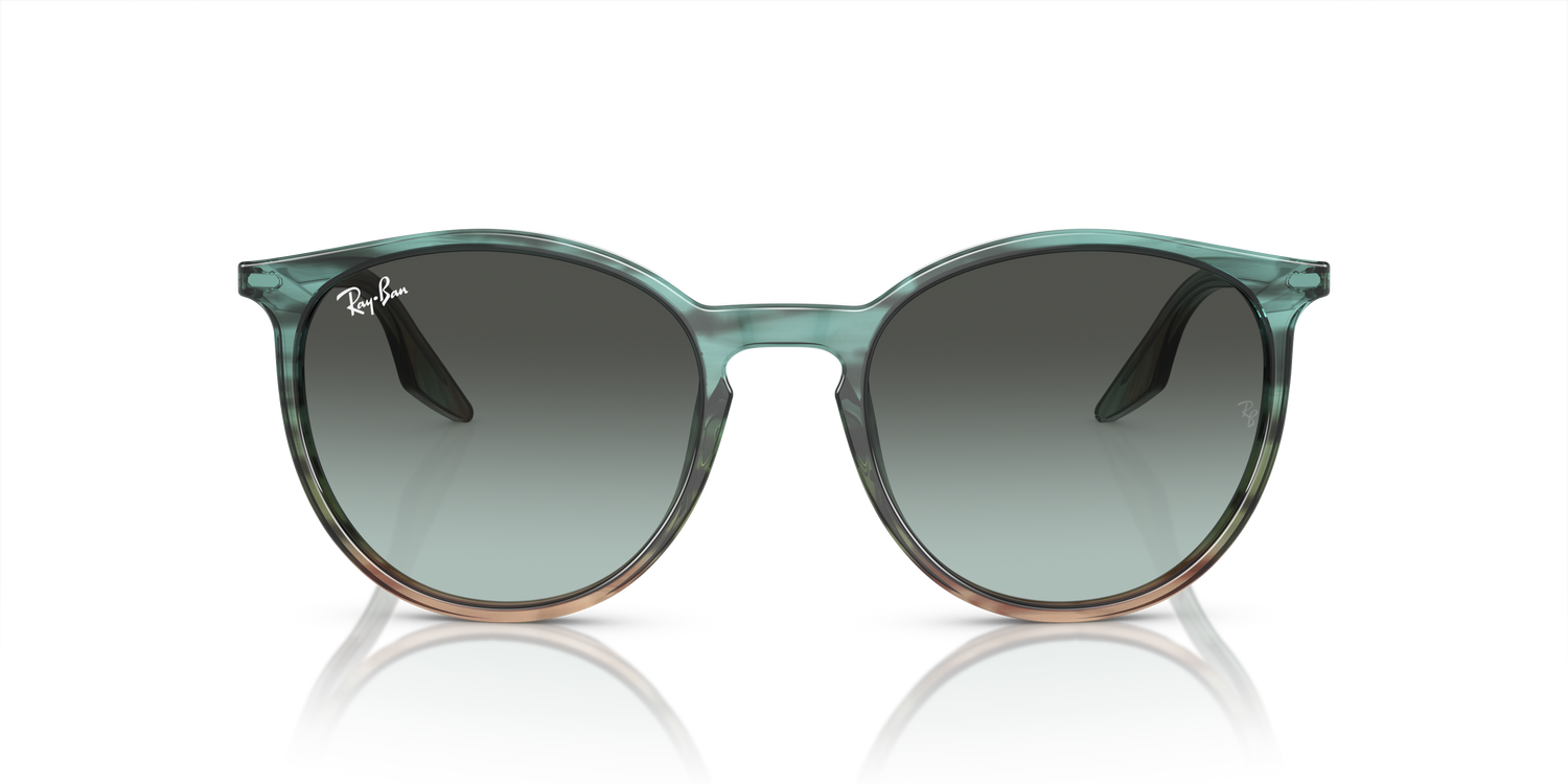 RAY-BAN RB2204 1394GK 54