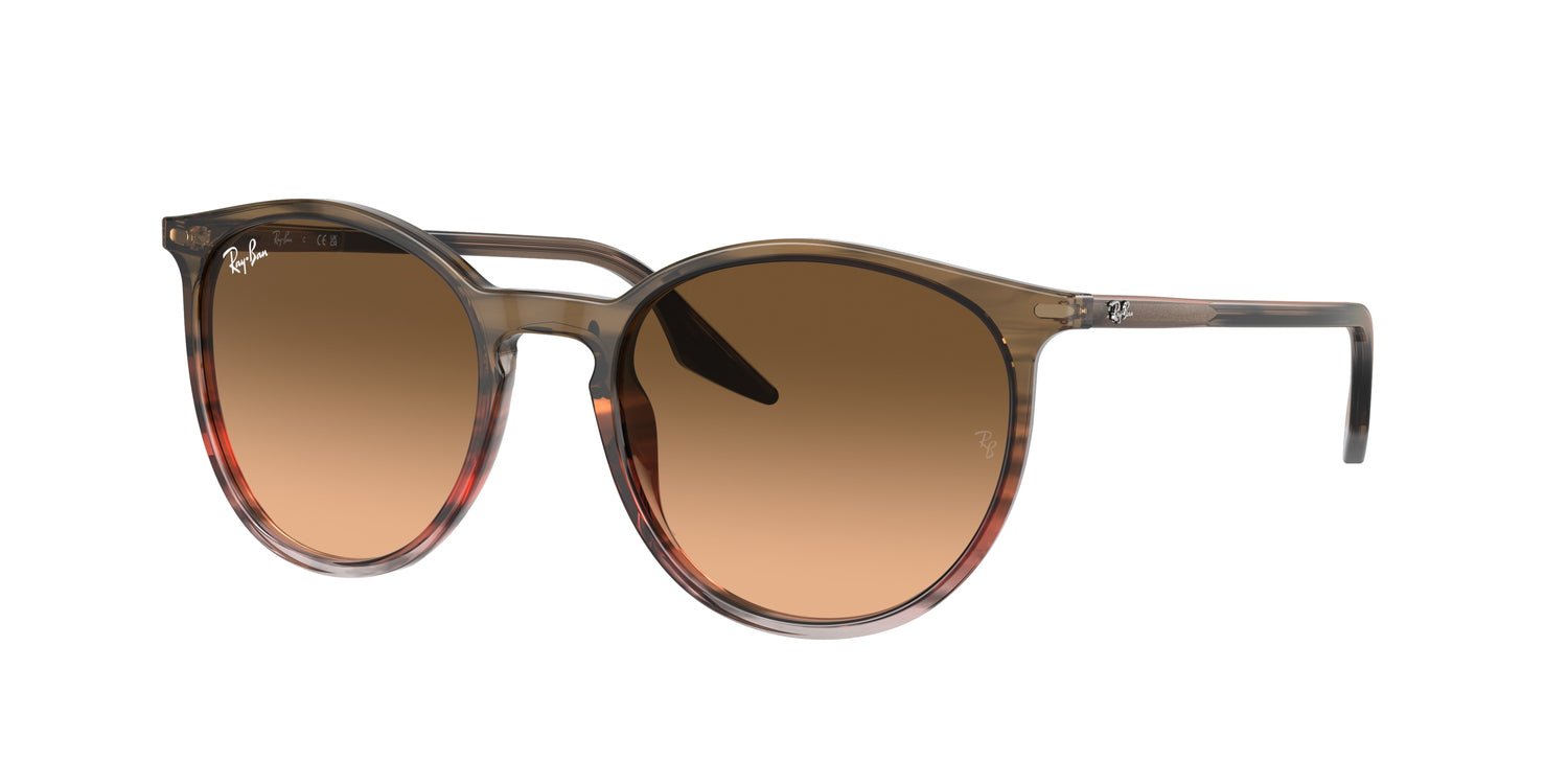 RAY-BAN RB2204 13953B 51