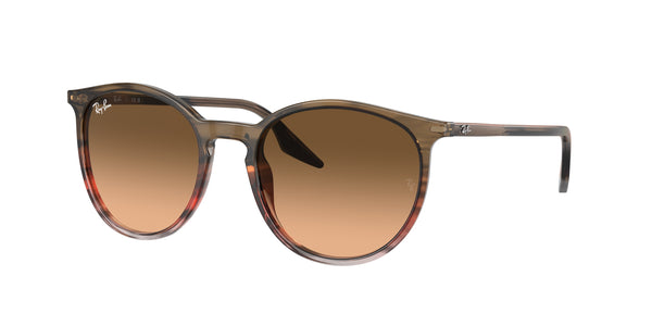 RAY-BAN RB2204 13953B 54