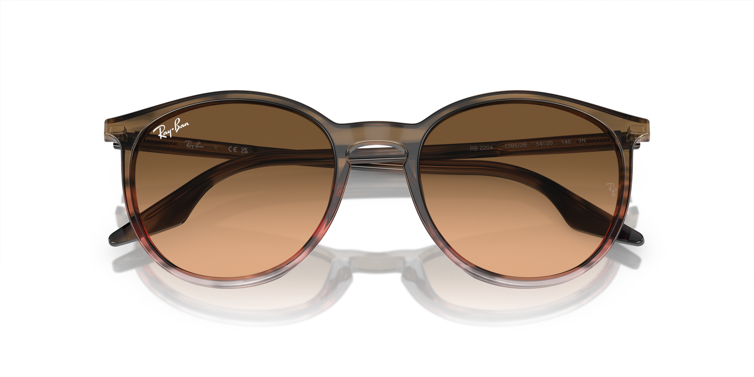 RAY-BAN RB2204 13953B 54