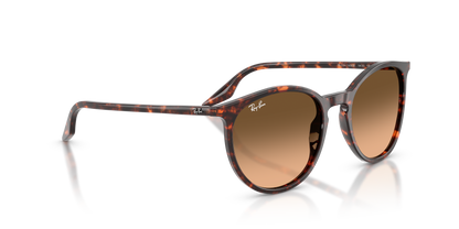 RAY-BAN RB2204 14293B 51