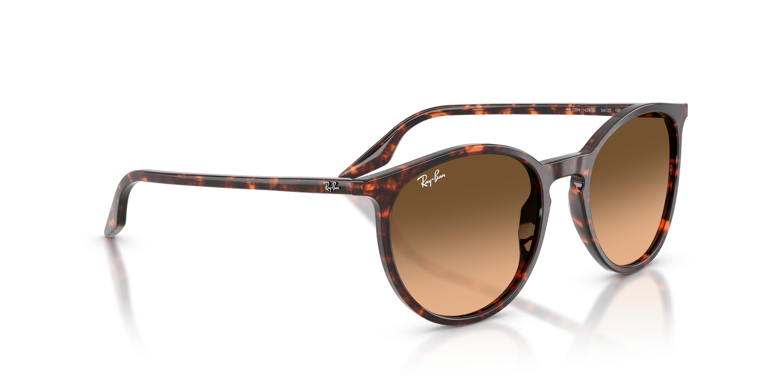 RAY-BAN RB2204 14293B 54