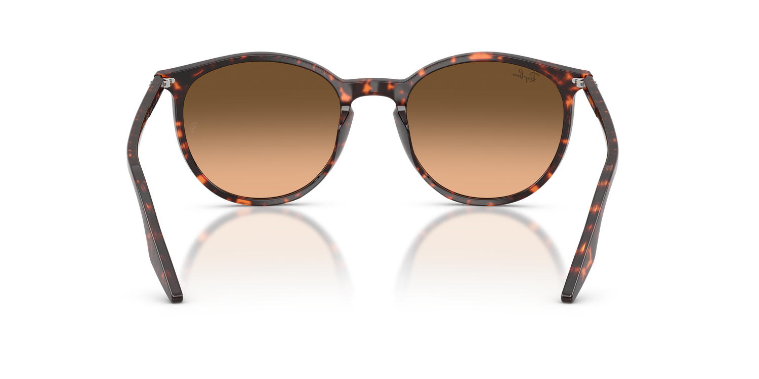 RAY-BAN RB2204 14293B 51