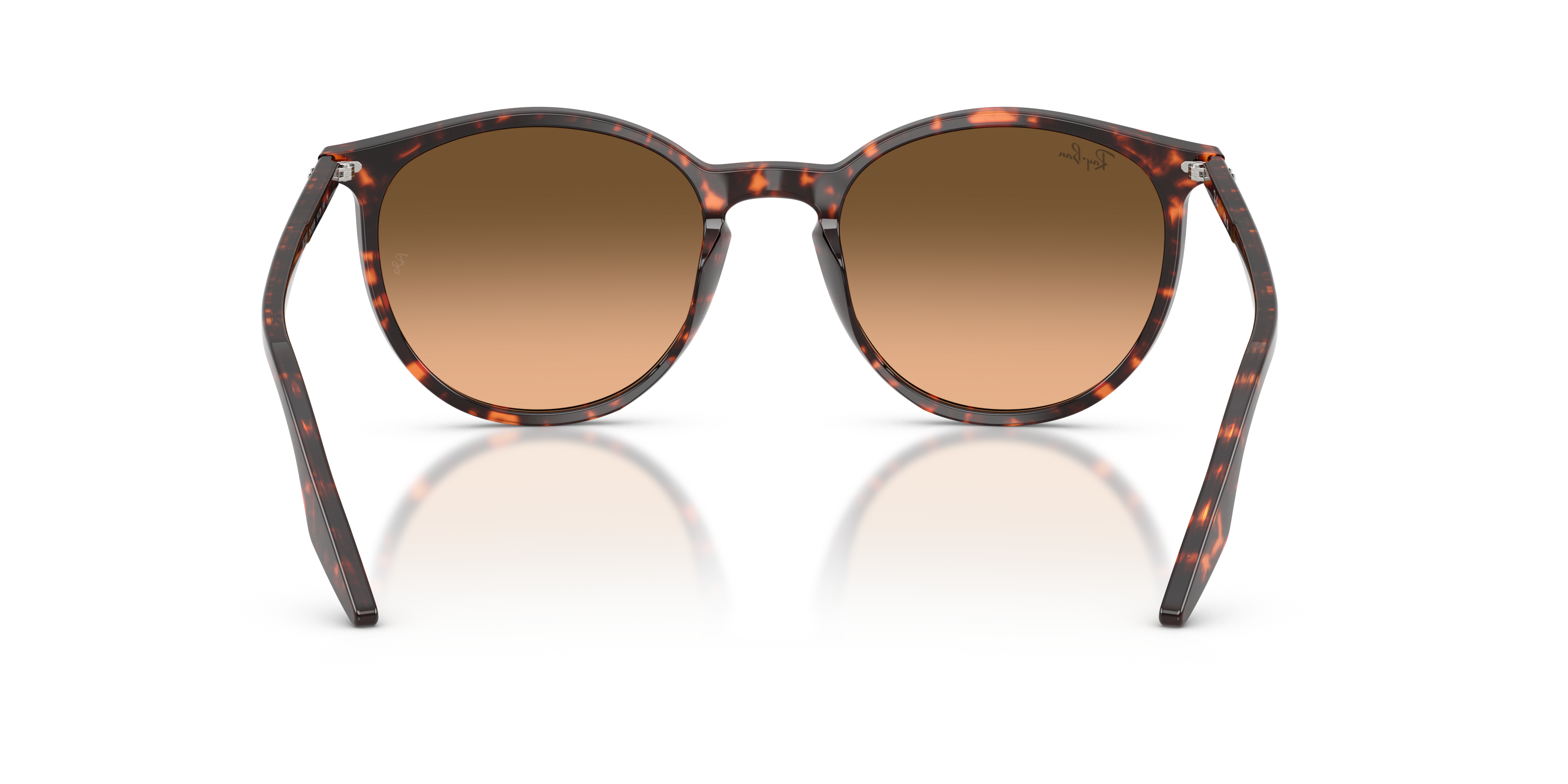 RAY-BAN RB2204 14293B 51