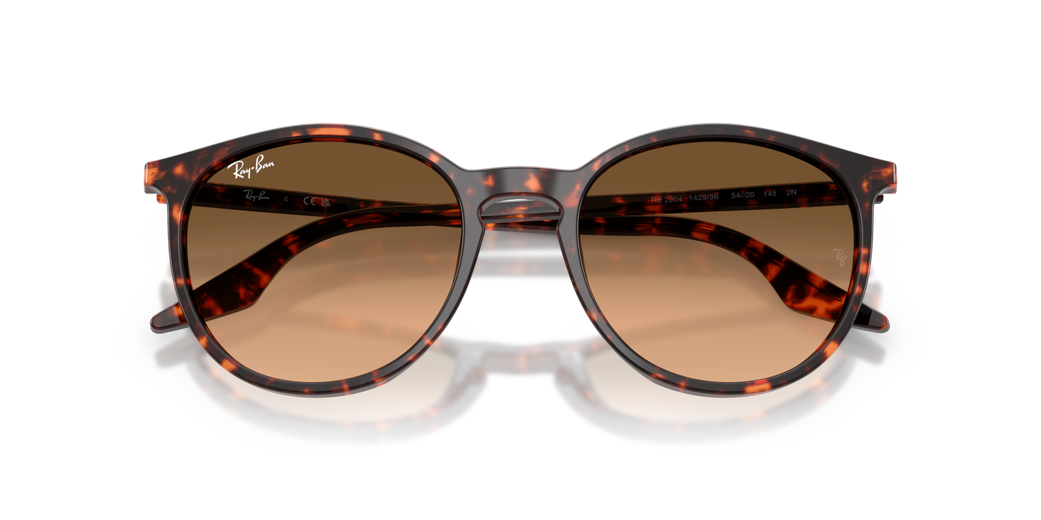 RAY-BAN RB2204 14293B 51