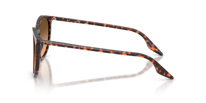 RAY-BAN RB2204 14293B 54