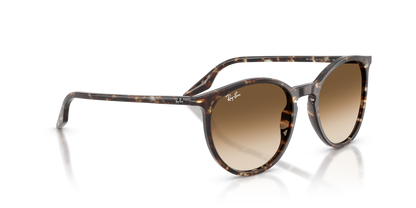 RAY-BAN RB2204 143151 54