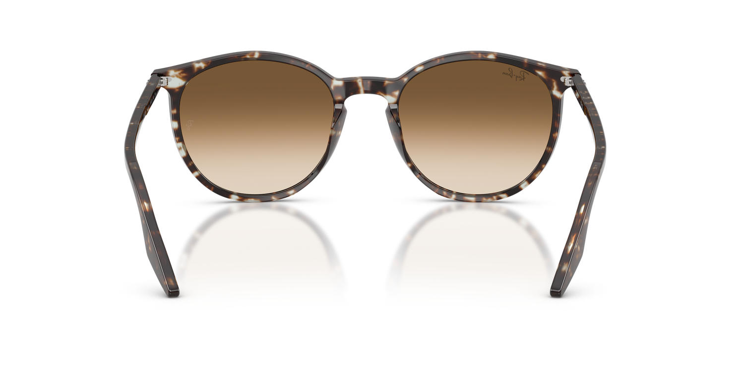 RAY-BAN RB2204 143151 54