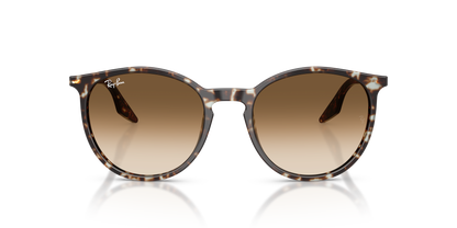 RAY-BAN RB2204 143151 54