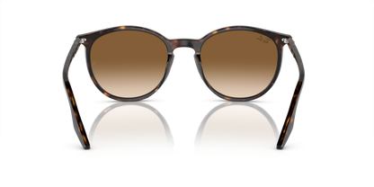 RAY-BAN RB2204 902/51 54