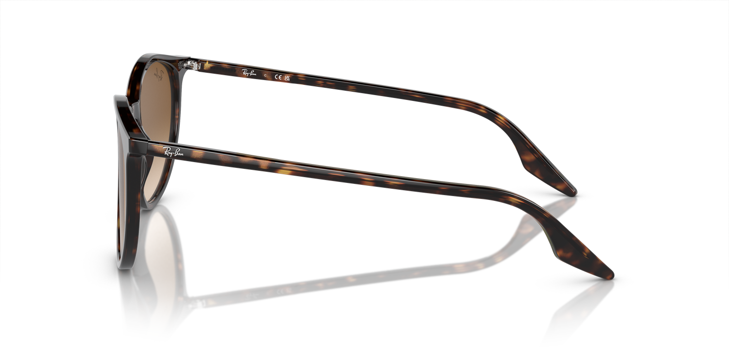 RAY-BAN RB2204 902/51 51