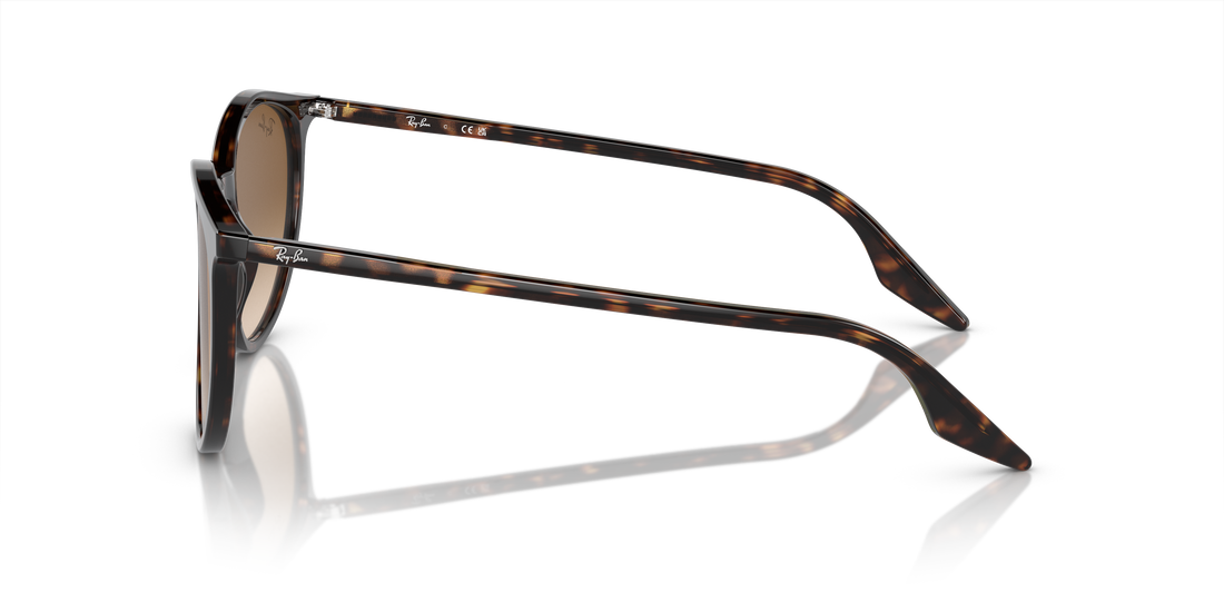 RAY-BAN RB2204 902/51 54