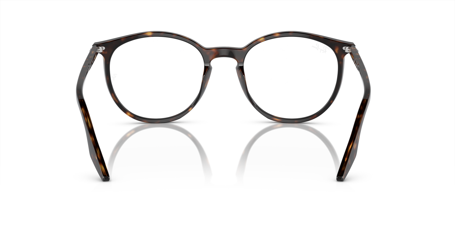 RAY-BAN RB2204 902/GJ 51