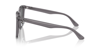 RAY-BAN RB2206D 139987 57