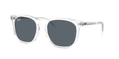 RAY-BAN RB2210 6447R5 53
