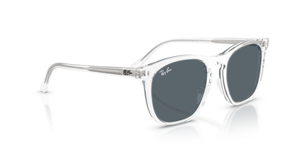 RAY-BAN RB2210 6447R5 53