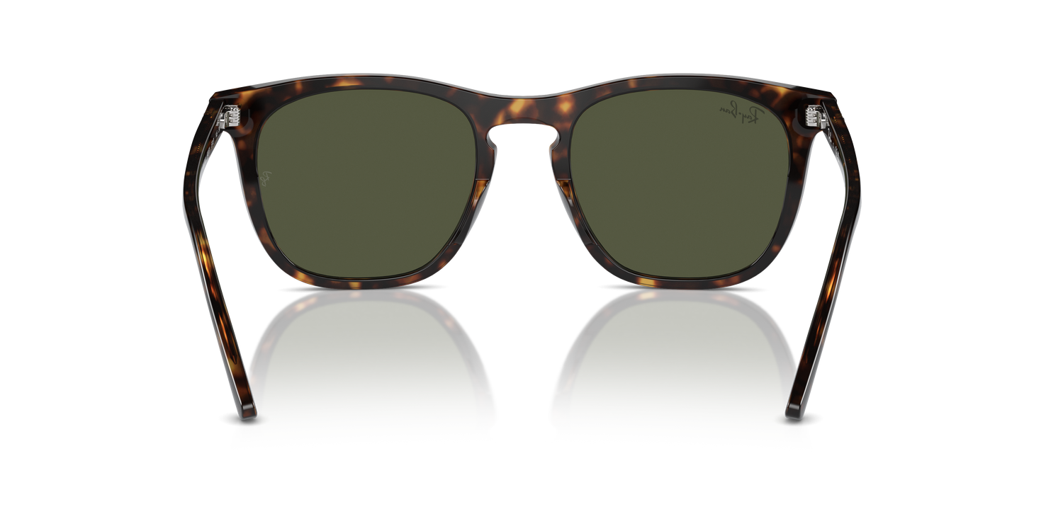 RAY-BAN RB2210 902/31 53