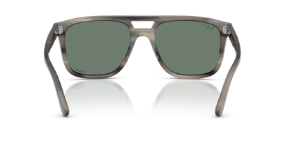 RAY-BAN RB2213CH 14243R 55