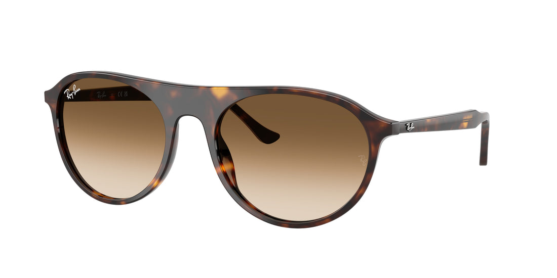 Sunglasses ray-ban rb2215 902/51 havana square unisex size 59mm - Main view