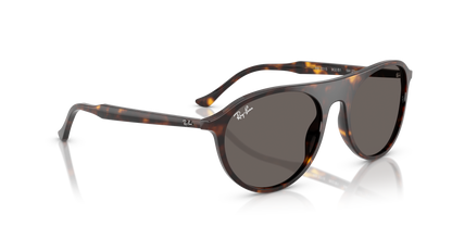 RAY-BAN RB2215 902/B1 56