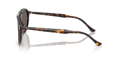 RAY-BAN RB2215 902/B1 56