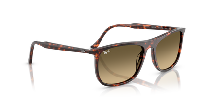 RAY-BAN RB2216 14290A 58