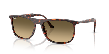RAY-BAN RB2216 14290A 61