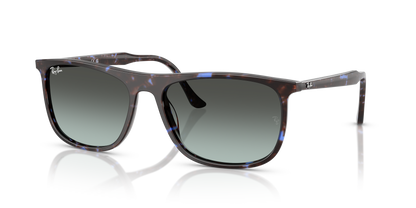 RAY-BAN RB2216 1430GK 58