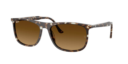 RAY-BAN RB2216 143185 58