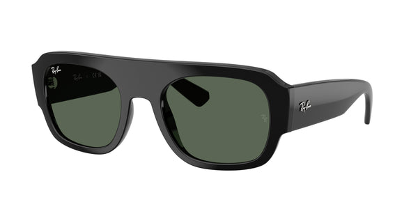 RAY-BAN RB2218 667771 55