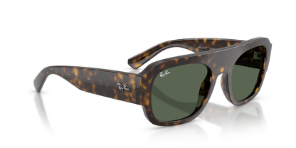 RAY-BAN RB2218 679071 55