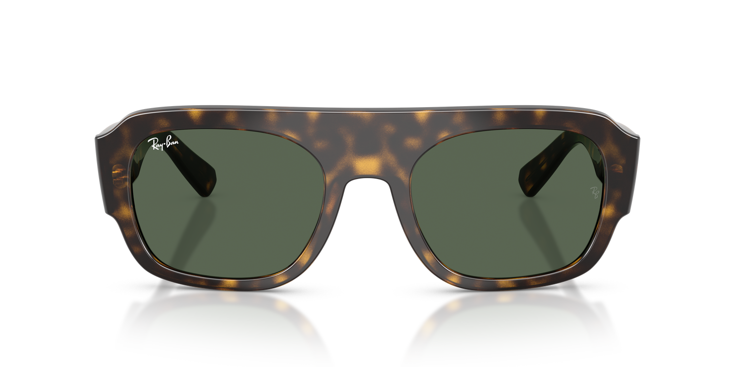 RAY-BAN RB2218 679071 55