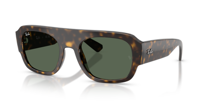RAY-BAN RB2218 679071 55