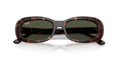 RAY-BAN RB2221 902/31 53