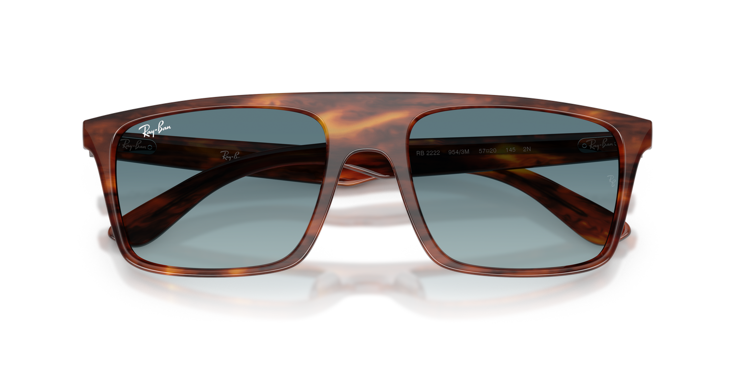 RAY-BAN RB2222 954/3M 55