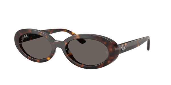 RAY-BAN RB2223 902/B1 54