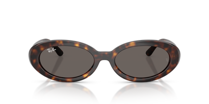 RAY-BAN RB2223 902/B1 54
