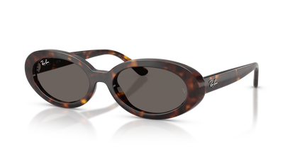 RAY-BAN RB2223 902/B1 54
