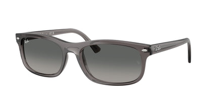 RAY-BAN RB2224 667571 60