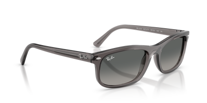 RAY-BAN RB2224 667571 60