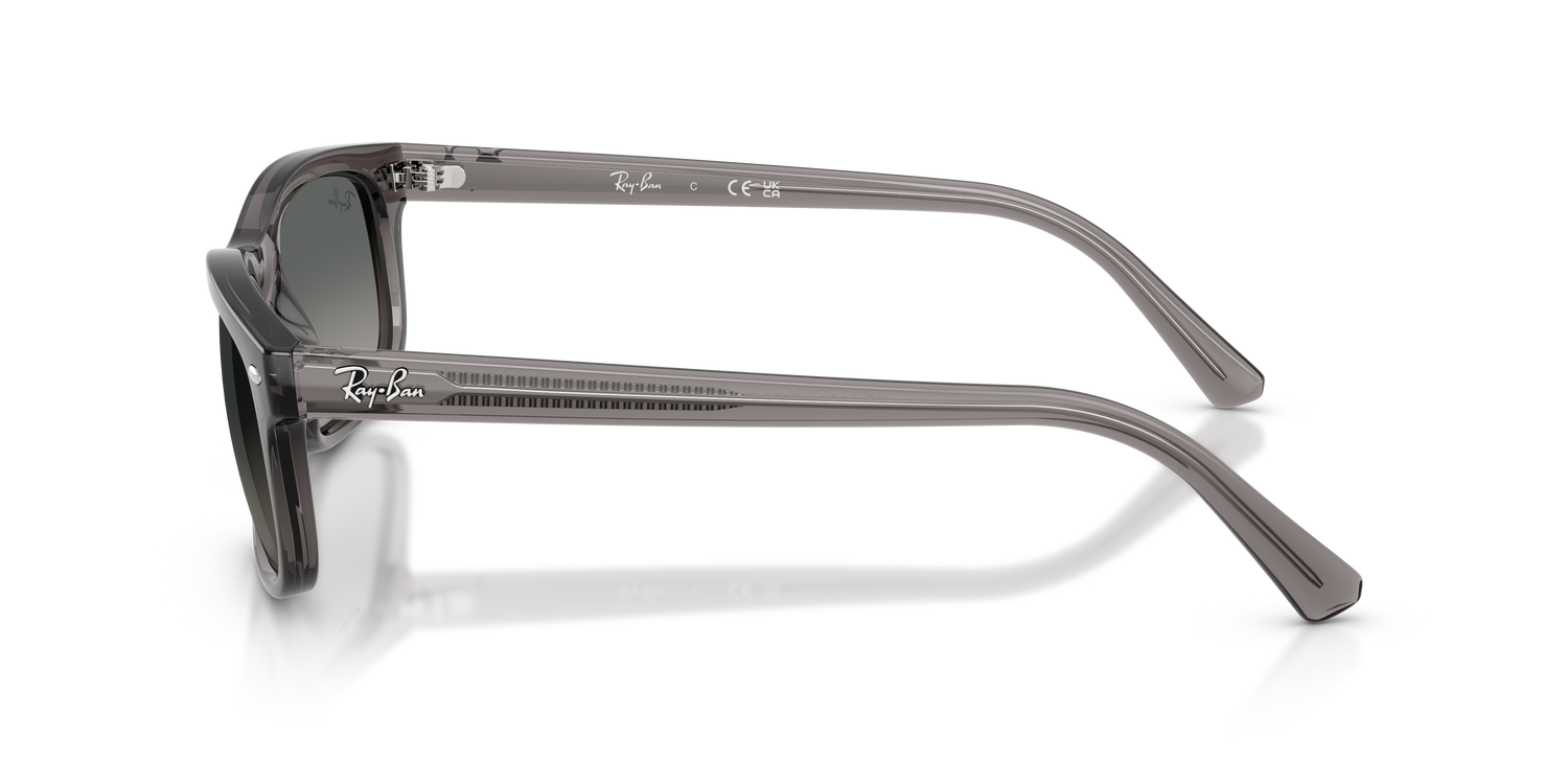 RAY-BAN RB2224 667571 60
