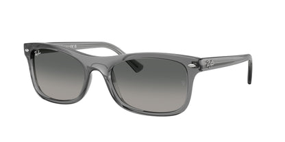 RAY-BAN RB2226 664171 54
