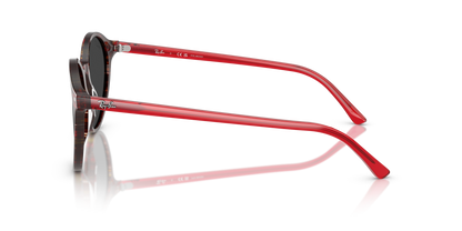 RAY-BAN RB2230 BERNARD 141948 53